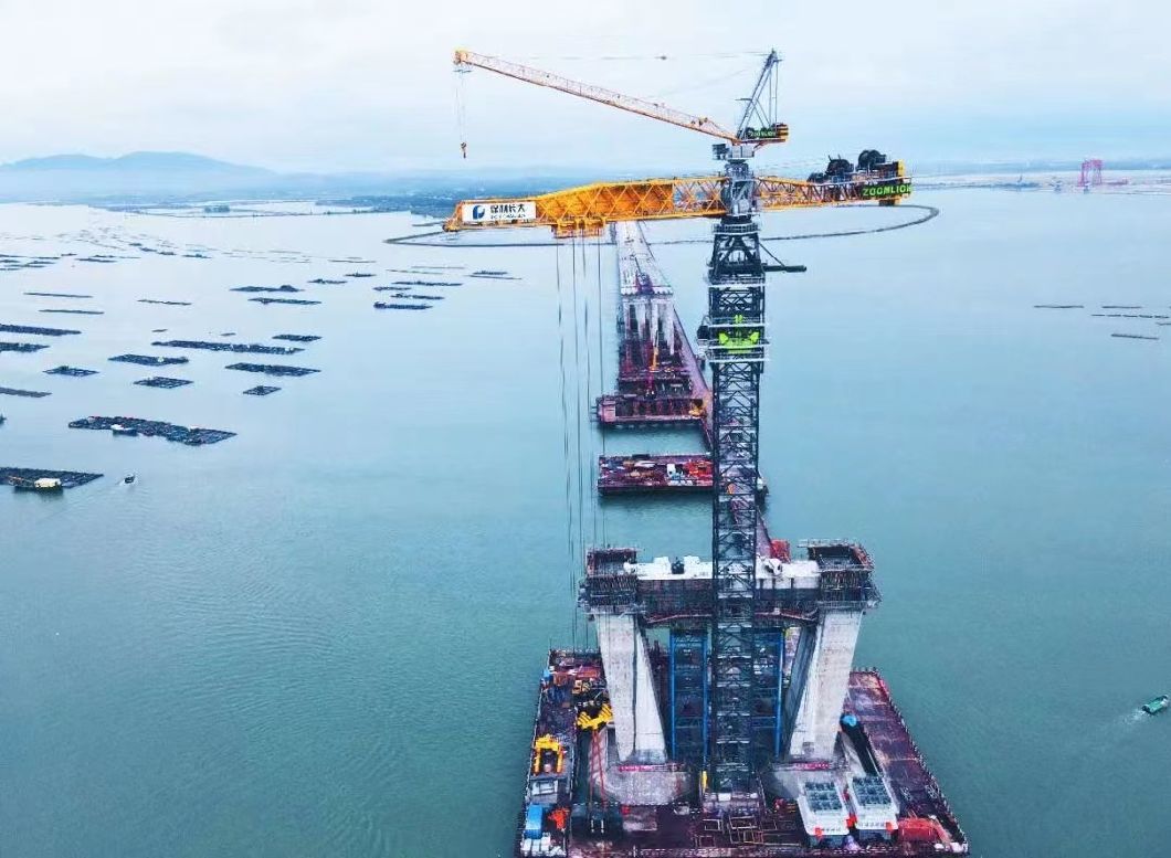 Good Equipment 19 Years Zoomlion 46 Meters Tower Crane, Need Please Contact