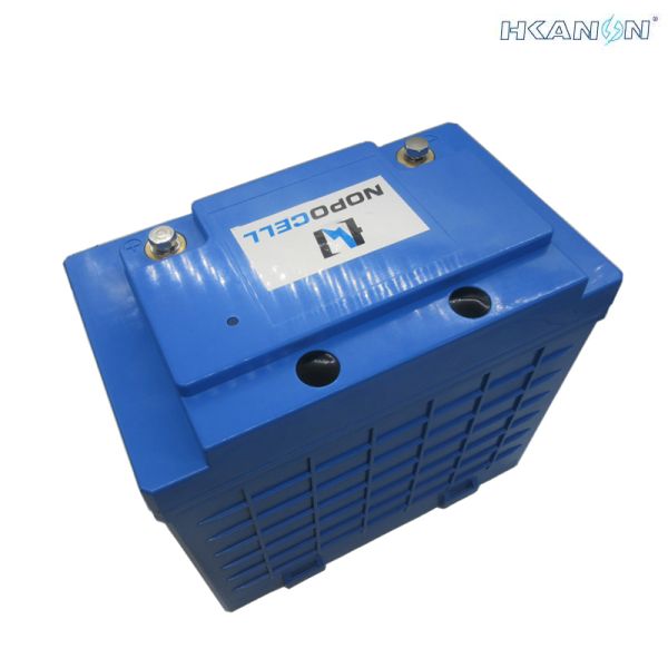 12V 100Ah Battery LiFePO4 Lithium with BMS 100% DOD > 2000 Cycles