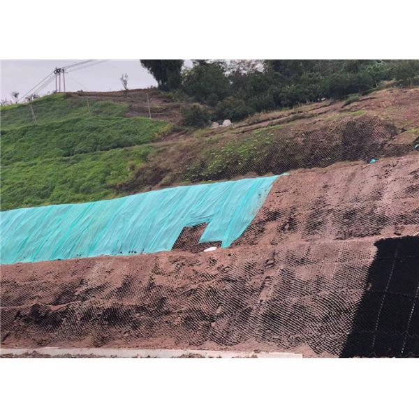 Erosion Control Perforated 1000N Cellular Confinement System