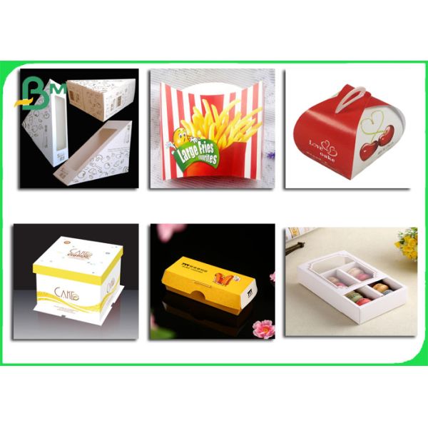 350gsm Take Out Food Container Paper Board FDA 15gr PE Sheet & Roll