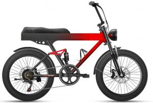 Quality Fat Tire Full Suspension Ebike Battery Double Cargo 48v 500w 9.6Ah 40kmh for sale